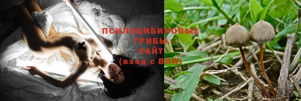 винт Мегион